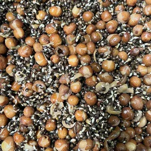 Hemp and Maples Freshly Prepared 2kg