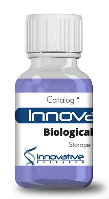 IL1B Active Recombinant Protein N-His Tag Lyophilized