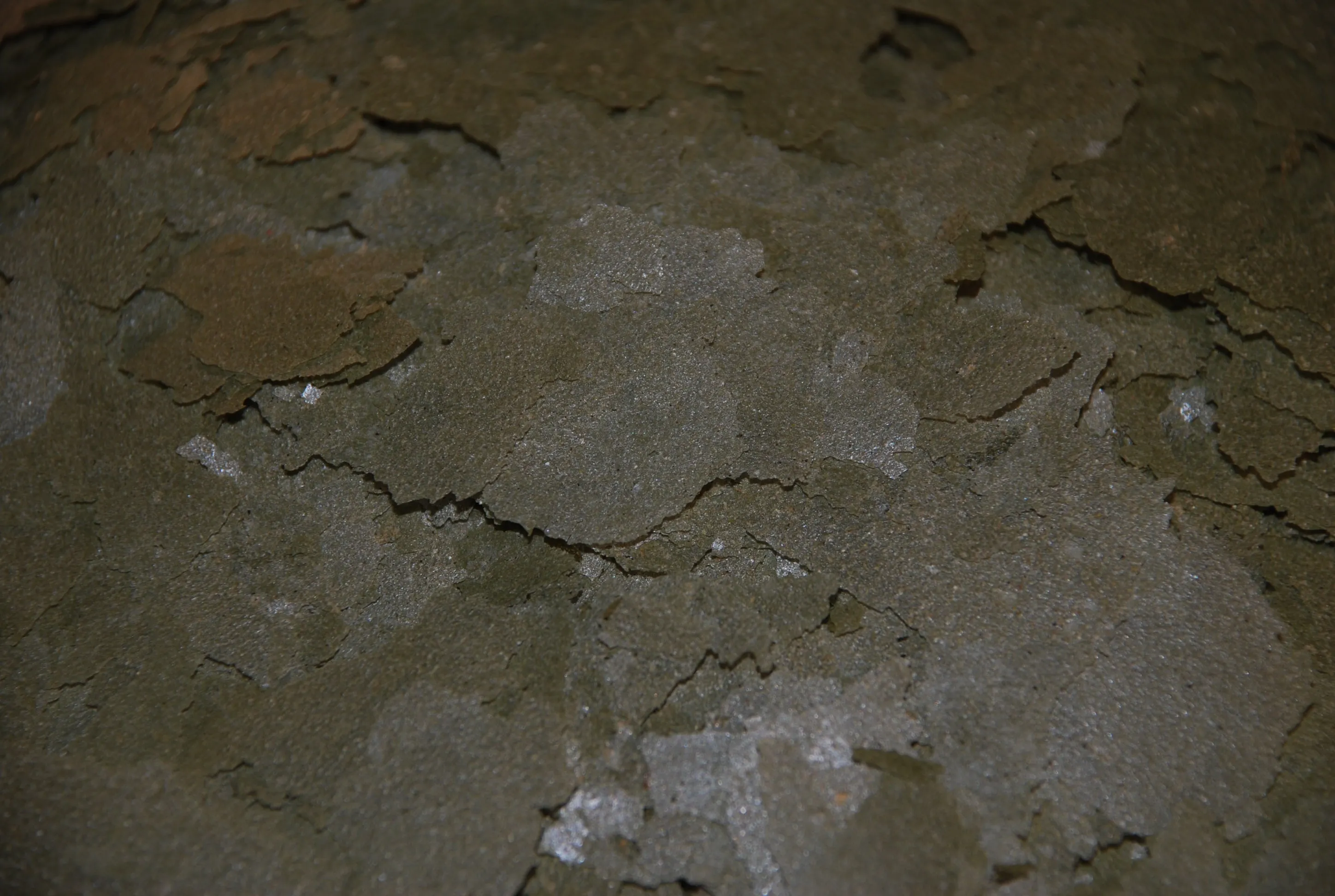 Ken's Premium Cichlid Flake