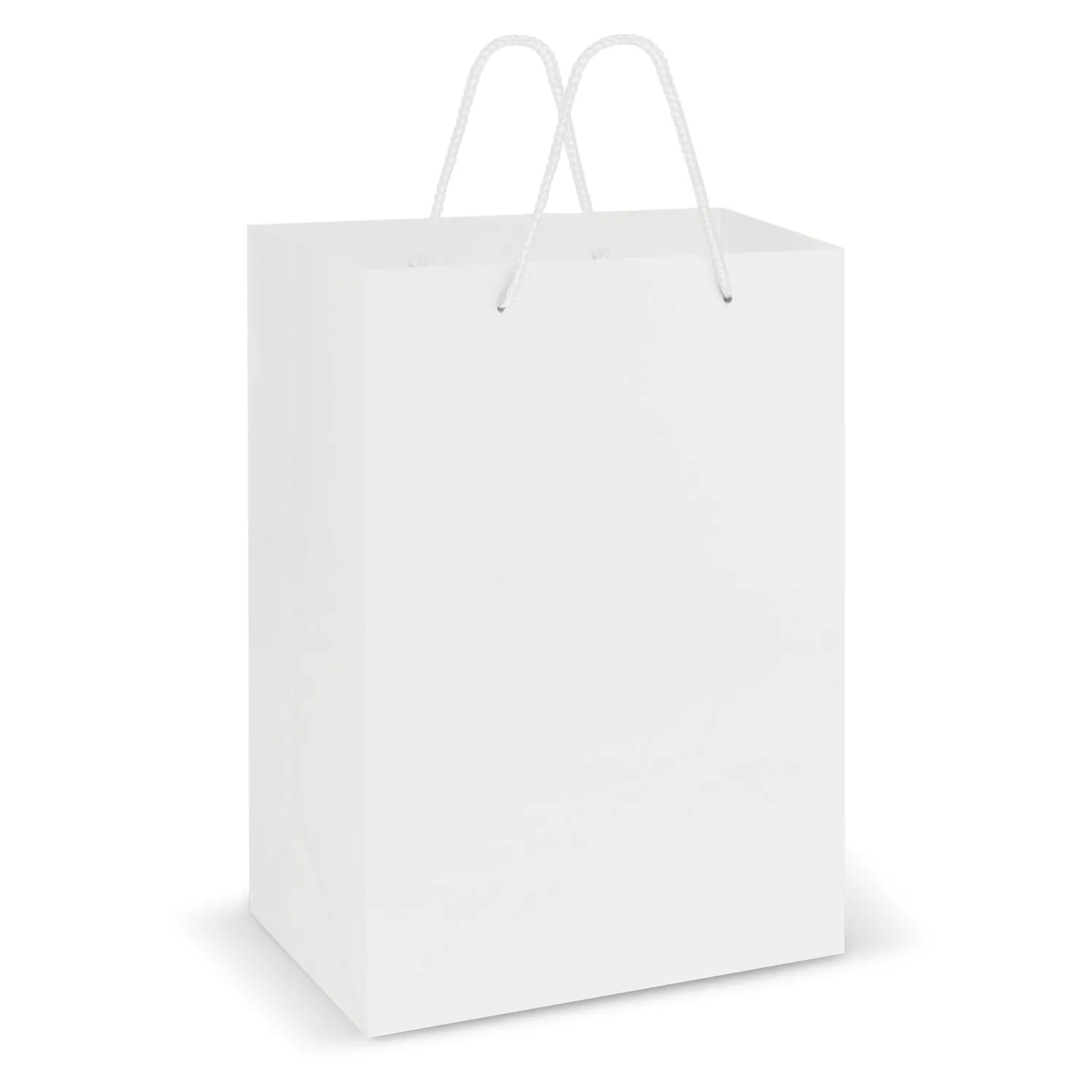 Laminated Carry Bag - Large
