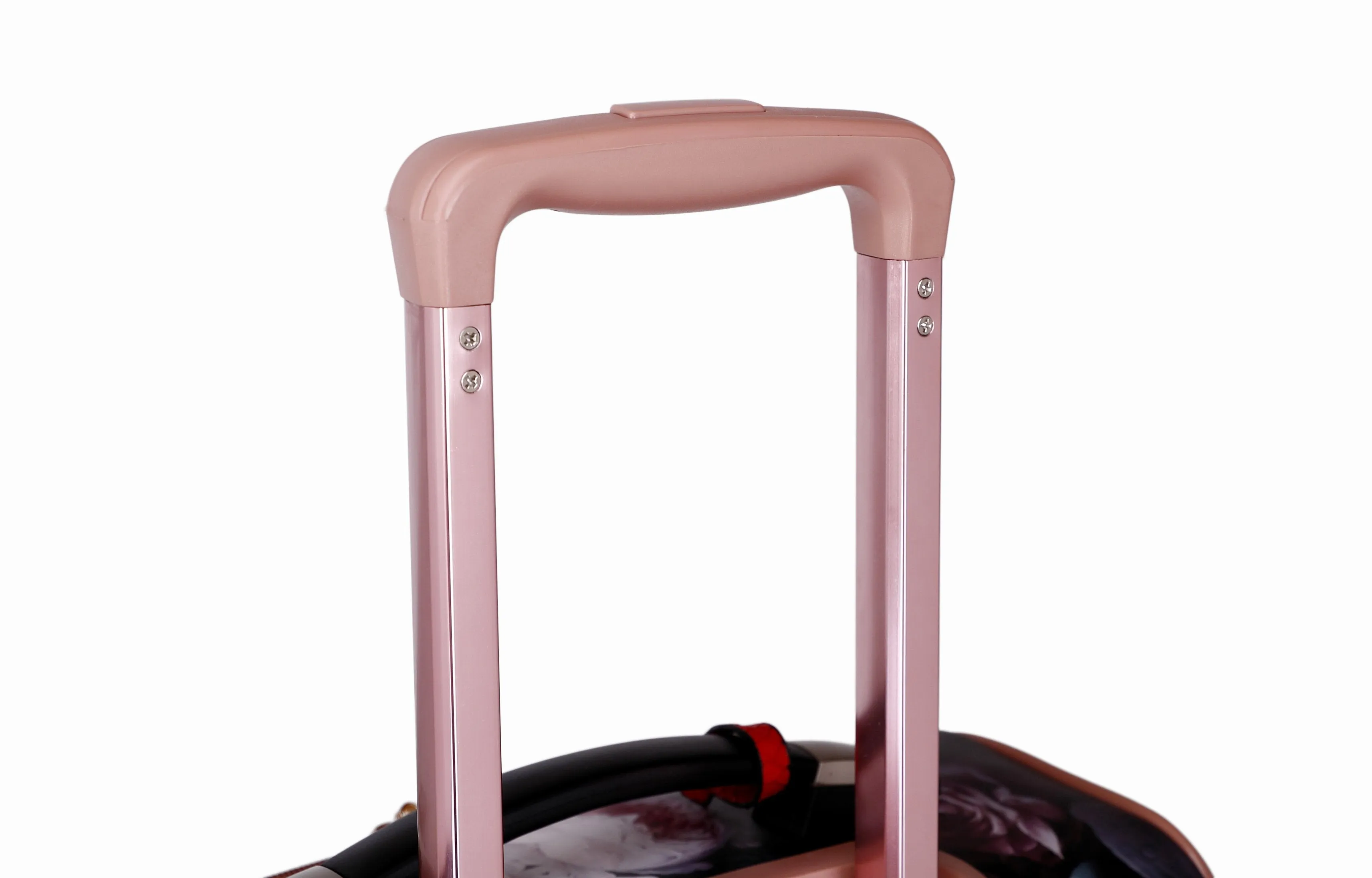 Queen Arosa Luggage