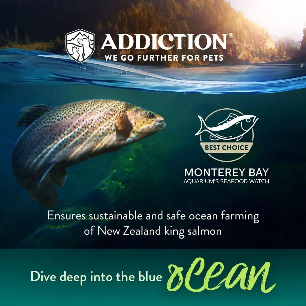 Salmon Bleu Dry Cat Food - Trial Pack Bundle of 12