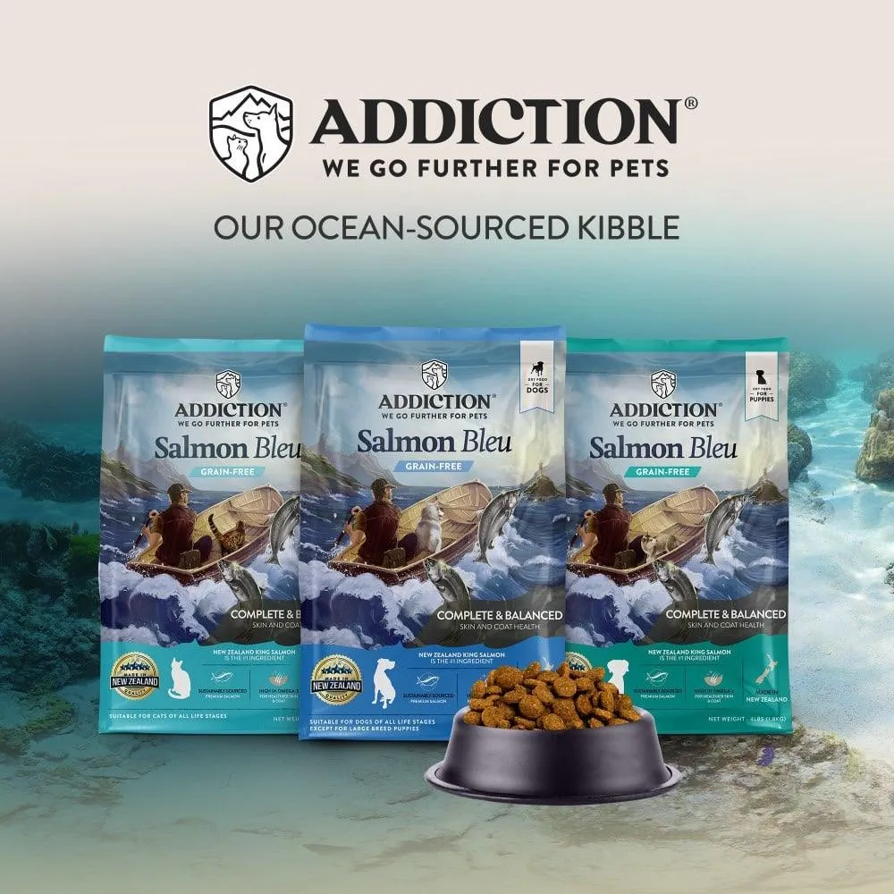 Salmon Bleu Dry Cat Food - Trial Pack Bundle of 12