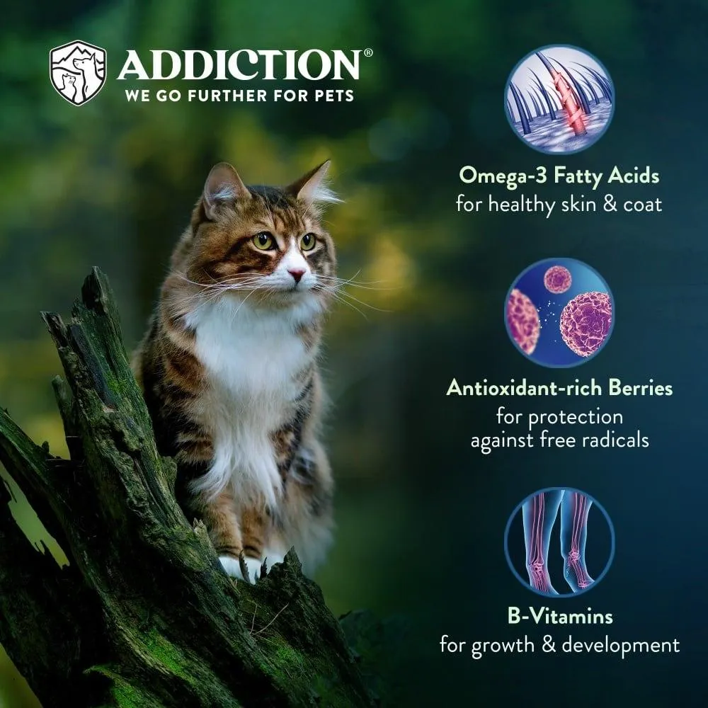Salmon Bleu Dry Cat Food - Trial Pack Bundle of 12