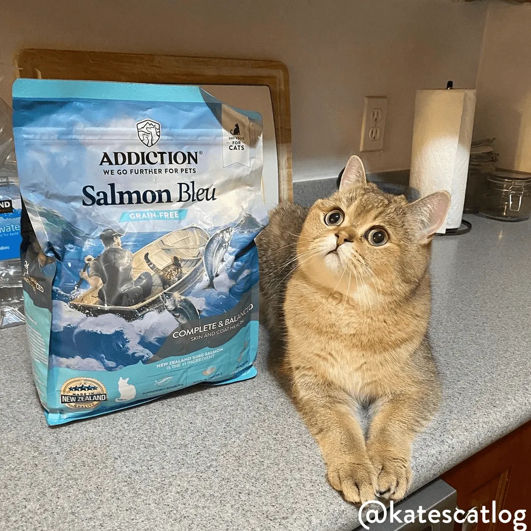 Salmon Bleu Dry Cat Food - Trial Pack Bundle of 12